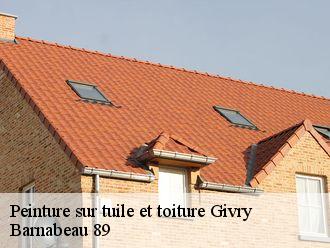 Peinture sur tuile et toiture  givry-89200 Barnabeau 89
