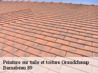 Peinture sur tuile et toiture 89350