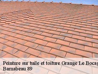 Peinture sur tuile et toiture  89260