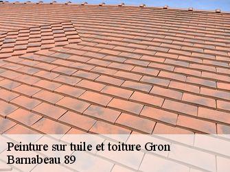 Peinture sur tuile et toiture 89100