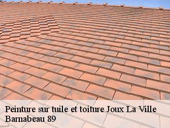 Peinture sur tuile et toiture  89440