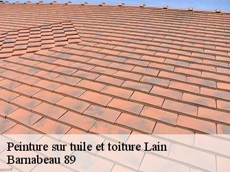 Peinture sur tuile et toiture 89560