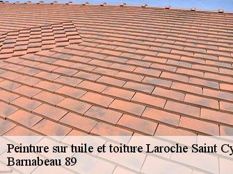 Peinture sur tuile et toiture 89400