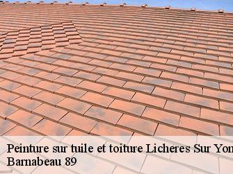 Peinture sur tuile 89660