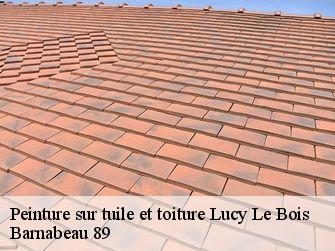 Peinture sur tuile 89200