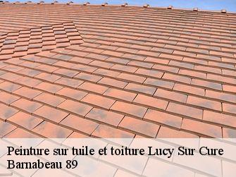 Peinture sur tuile et toiture 89270