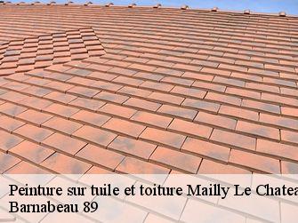 Peinture sur tuile et toiture  89660