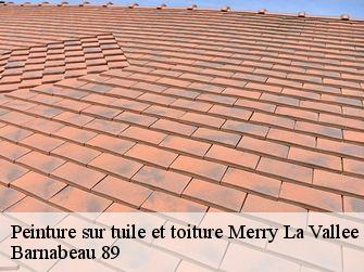 Peinture sur tuile et toiture 89110