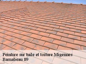 Peinture sur tuile et toiture 89400