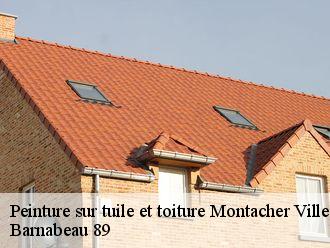 Peinture sur tuile et toiture  montacher-villegardin-89150 Barnabeau 89