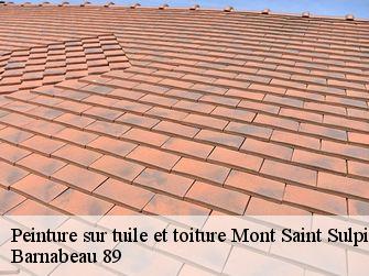 Peinture sur tuile et toiture 89250