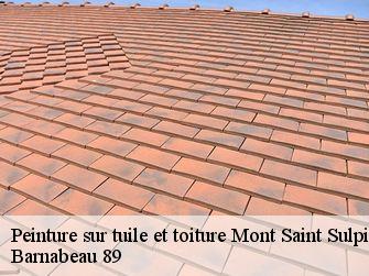 Peinture sur tuile et toiture  89250