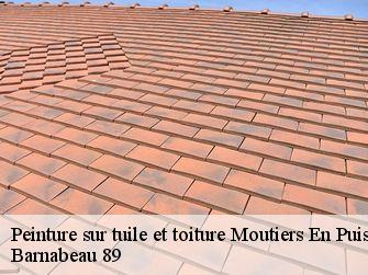Peinture sur tuile et toiture 89520