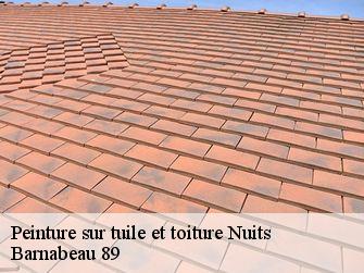 Peinture sur tuile et toiture 89390