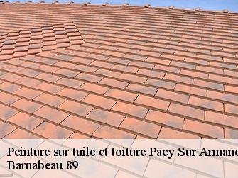 Peinture sur tuile et toiture  89160