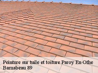 Peinture sur tuile et toiture 89210