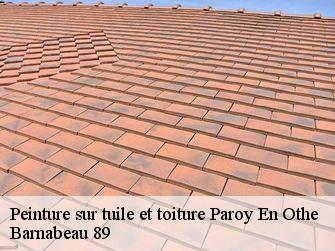 Peinture sur tuile et toiture  89210