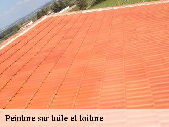 Peinture sur tuile et toiture 89510