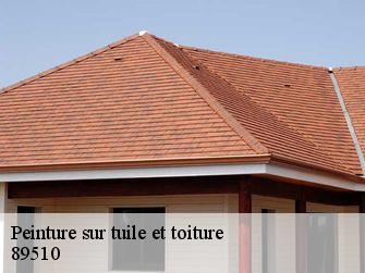 Peinture sur tuile et toiture 89510