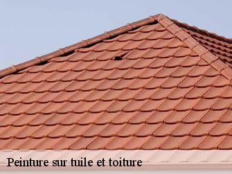 Peinture sur tuile et toiture