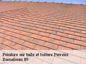 Peinture sur tuile et toiture  89120