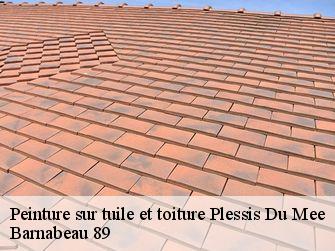 Peinture sur tuile et toiture  89260