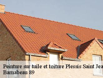Peinture sur tuile et toiture  plessis-saint-jean-89140 Barnabeau 89