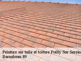 Peinture sur tuile et toiture  89310