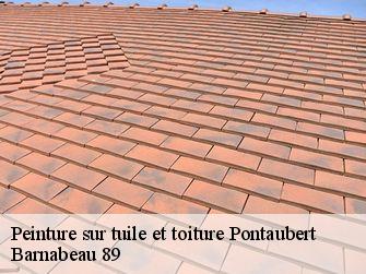 Peinture sur tuile et toiture  89200