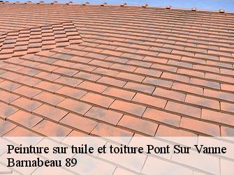 Peinture sur tuile et toiture 89190