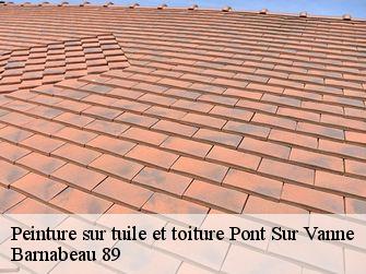 Peinture sur tuile et toiture  89190