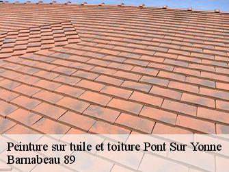 Peinture sur tuile et toiture  89140