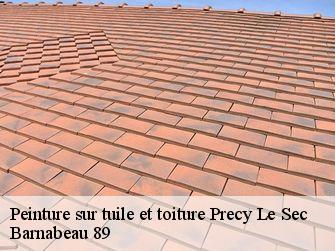 Peinture sur tuile et toiture  89440