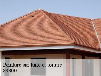 Peinture sur tuile et toiture  89800