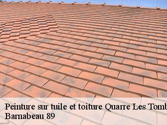 Peinture sur tuile et toiture 89630