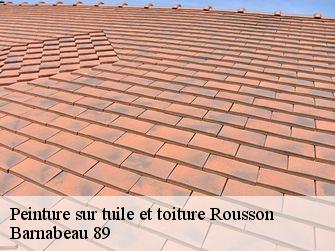 Peinture sur tuile et toiture 89500