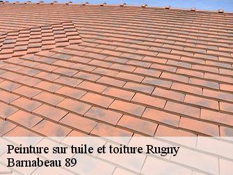 Peinture sur tuile et toiture 89430