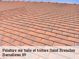 Peinture sur tuile et toiture 89630