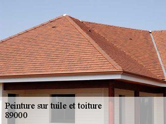 Peinture sur tuile et toiture  89000