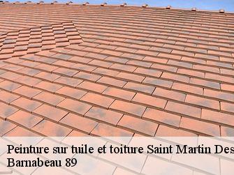 Peinture sur tuile et toiture 89170