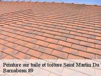 Peinture sur tuile et toiture 89100