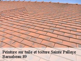 Peinture sur tuile et toiture  89460