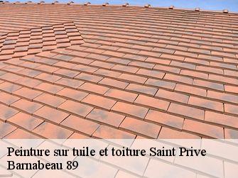 Peinture sur tuile et toiture  89220