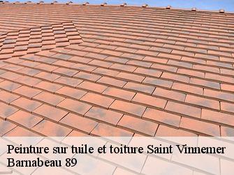 Peinture sur tuile et toiture 89430