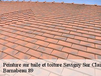 Peinture sur tuile et toiture 89150