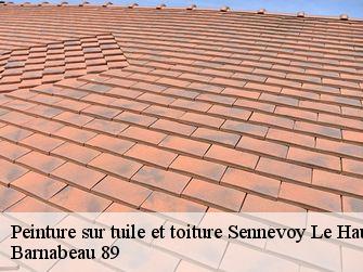 Peinture sur tuile et toiture 89160