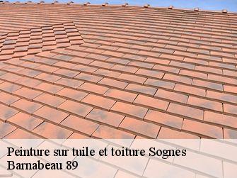 Peinture sur tuile et toiture 89260