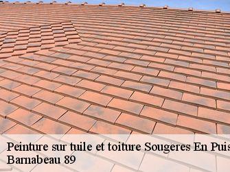 Peinture sur tuile et toiture 89520