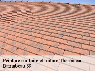 Peinture sur tuile et toiture 89450