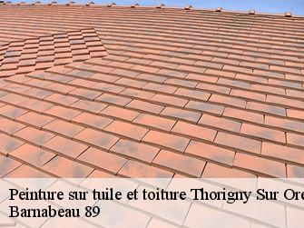 Peinture sur tuile et toiture 89260